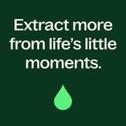 Plant Therapy Organic Clove Bud Essential Oil Essential Oil