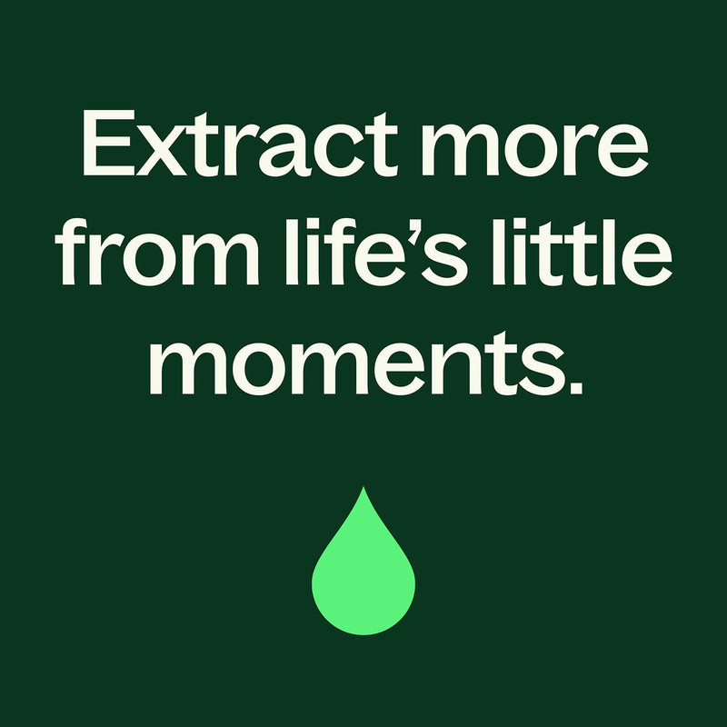 Plant Therapy Organic Clove Bud Essential Oil Essential Oil