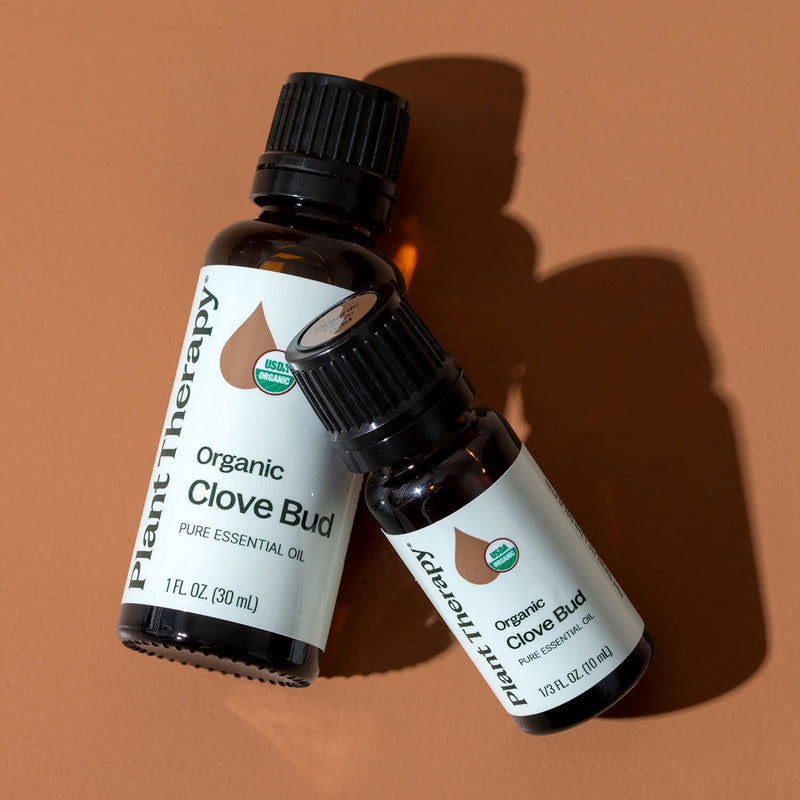 Plant Therapy Organic Clove Bud Essential Oil Essential Oil