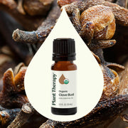 Plant Therapy Organic Clove Bud Essential Oil Essential Oil