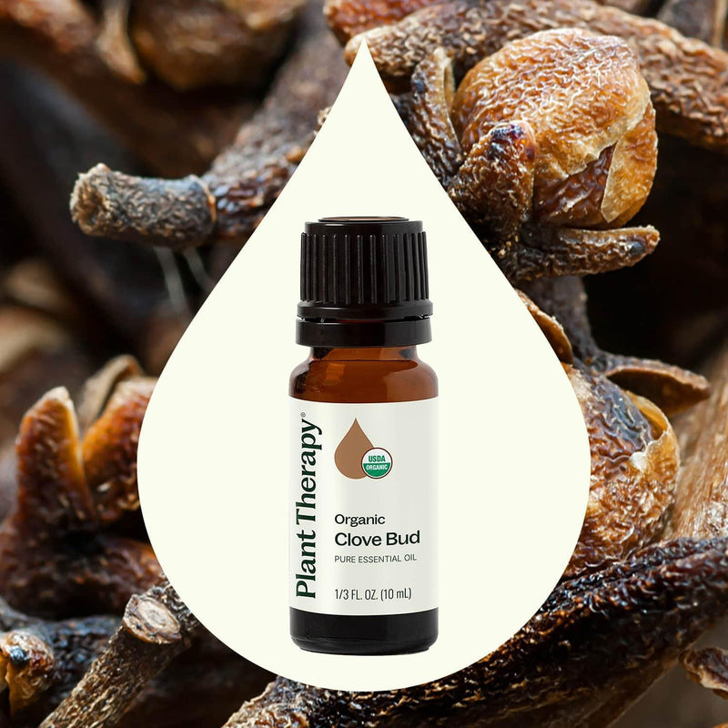 Plant Therapy Organic Clove Bud Essential Oil Essential Oil