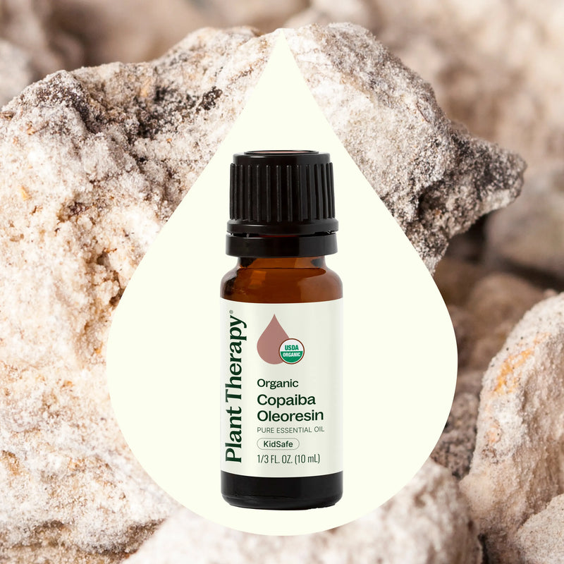 Plant Therapy Organic Copaiba Oleoresin Essential Oil