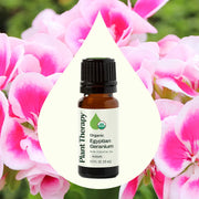 Plant Therapy Organic Egyptian Geranium Essential Oil Essential Oil