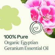 Plant Therapy Organic Egyptian Geranium Essential Oil Essential Oil