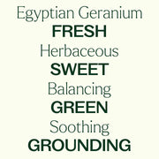 Plant Therapy Organic Egyptian Geranium Essential Oil Essential Oil