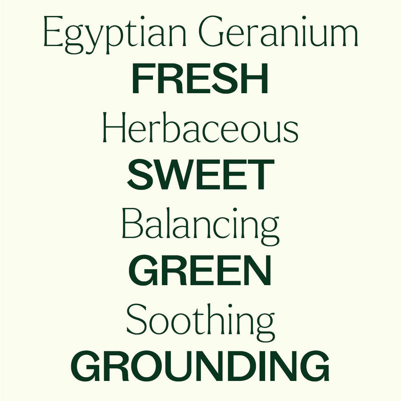 Plant Therapy Organic Egyptian Geranium Essential Oil Essential Oil
