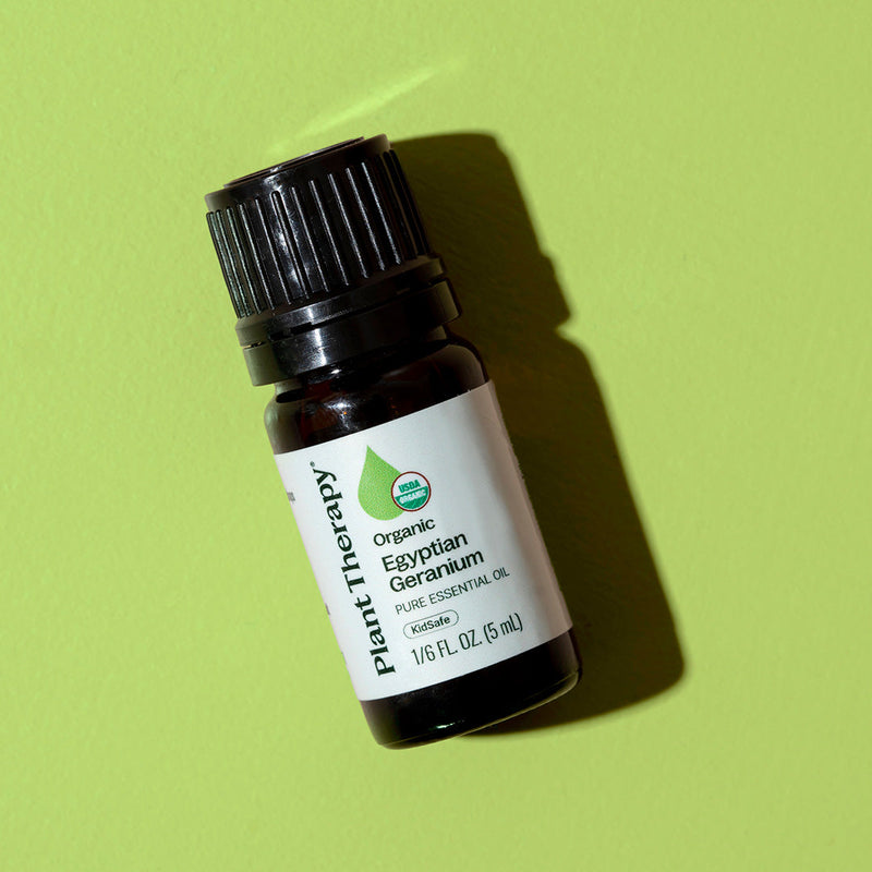 Plant Therapy Organic Egyptian Geranium Essential Oil Essential Oil