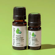 Plant Therapy Organic Egyptian Geranium Essential Oil Essential Oil