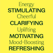 Plant Therapy Organic Energy Essential Oil Blend Essential Oil