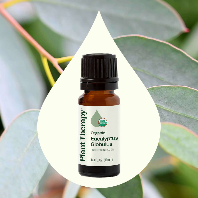 Plant Therapy Organic Eucalyptus Globulus Essential Oil Essential Oil