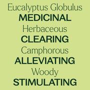 Plant Therapy Organic Eucalyptus Globulus Essential Oil Essential Oil