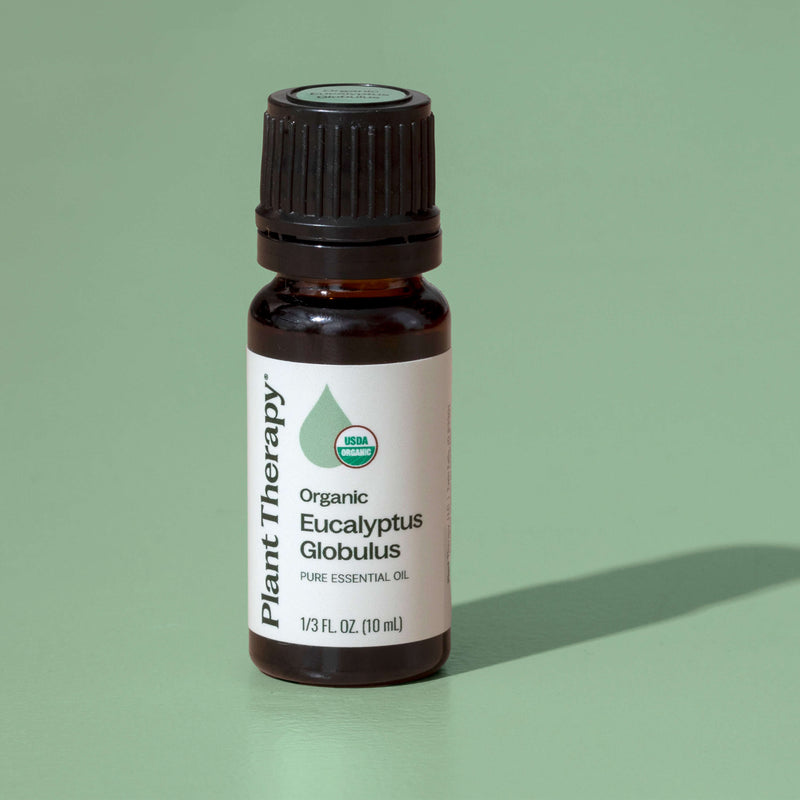 Plant Therapy Organic Eucalyptus Globulus Essential Oil Essential Oil