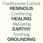 Plant Therapy Organic Frankincense Carterii Essential Oil Essential Oil