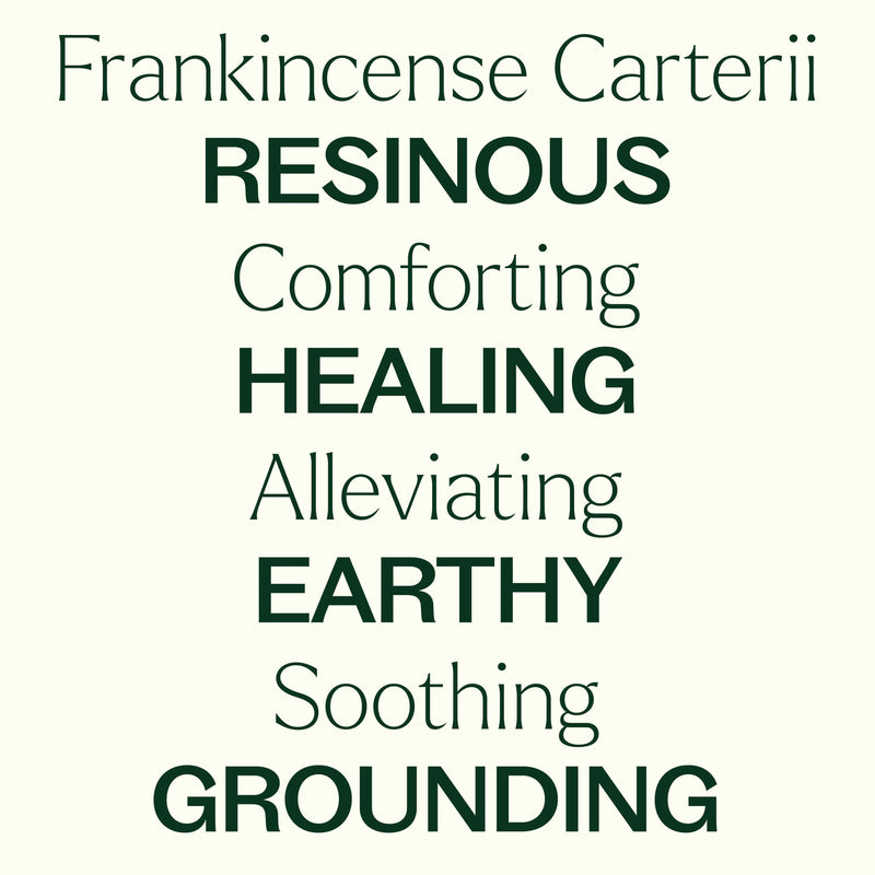 Plant Therapy Organic Frankincense Carterii Essential Oil Essential Oil