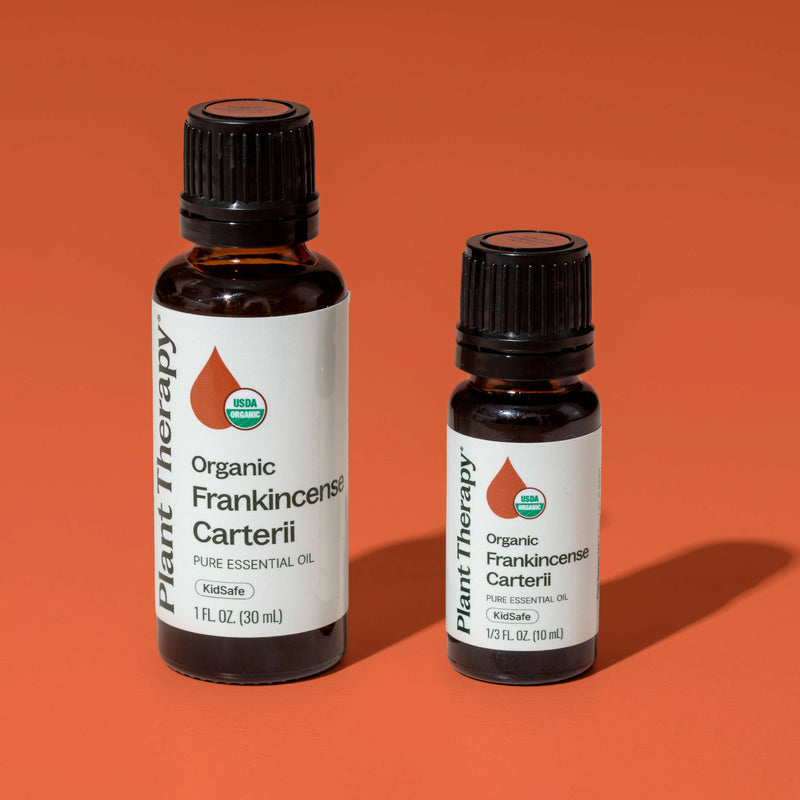 Plant Therapy Organic Frankincense Carterii Essential Oil Essential Oil Chocolate 10 mL,30 mL
