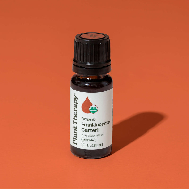 Plant Therapy Organic Frankincense Carterii Essential Oil Essential Oil Chocolate 10 mL,30 mL
