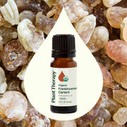 Plant Therapy Organic Frankincense Carterii Essential Oil Essential Oil Light Gray 10 mL,30 mL