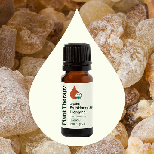 Plant Therapy Organic Frankincense Frereana Essential Oil Essential Oil