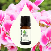 Plant Therapy Organic Egyptian Geranium Essential Oil Essential Oil