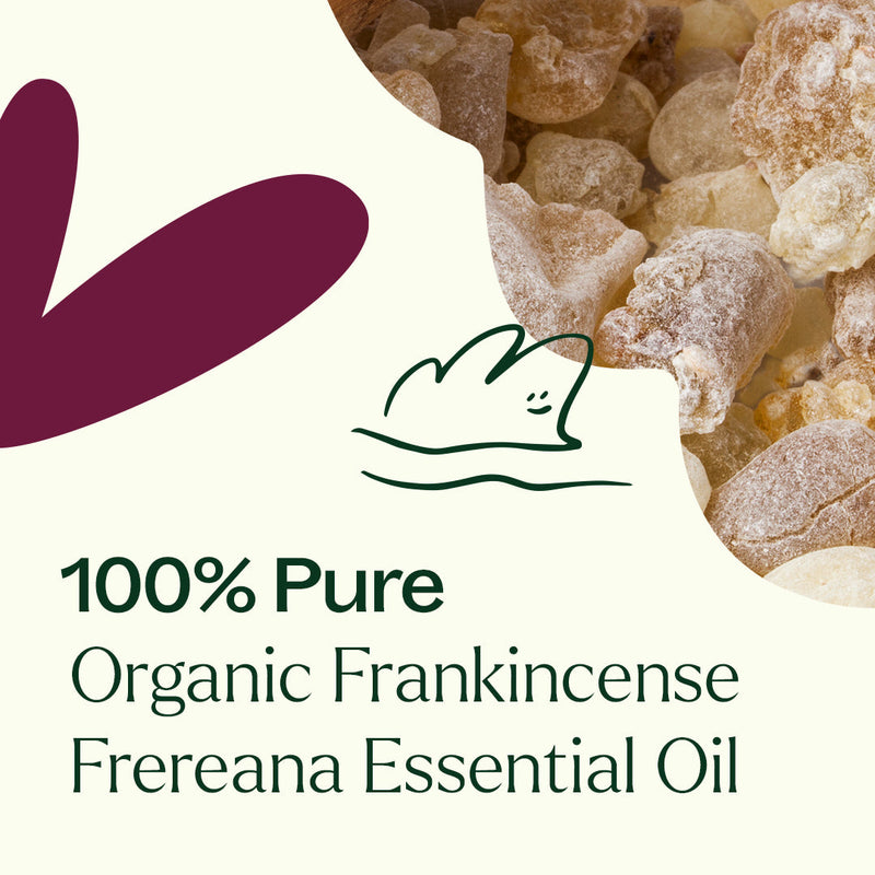 Plant Therapy Organic Frankincense Frereana Essential Oil Essential Oil