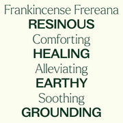 Plant Therapy Organic Frankincense Frereana Essential Oil Essential Oil
