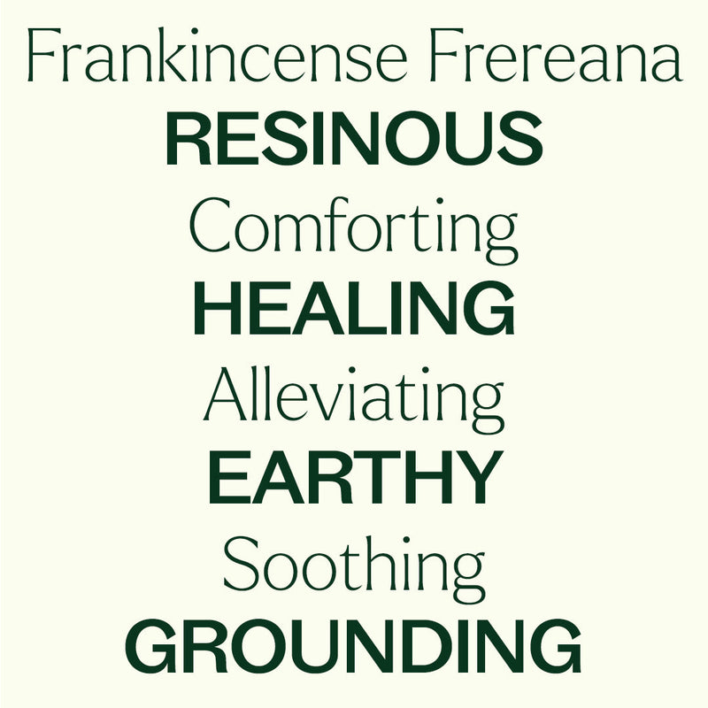 Plant Therapy Organic Frankincense Frereana Essential Oil Essential Oil