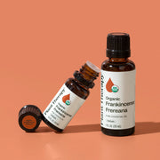 Plant Therapy Organic Frankincense Frereana Essential Oil Essential Oil