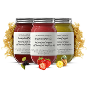 MG Windward Trading LLC Organic Fruit Infused BEST SELLER Sea Moss Gel Bundle Fruit Infused Sea Moss Gel