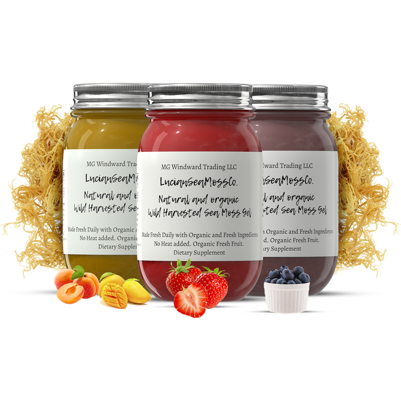 MG Windward Trading LLC Organic Fruit Infused Mojito Blast Sea Moss Gel Bundle Fruit Infused Sea Moss Gel