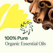 Plant Therapy Organic Germ Fighter Essential Oil Essential Oil