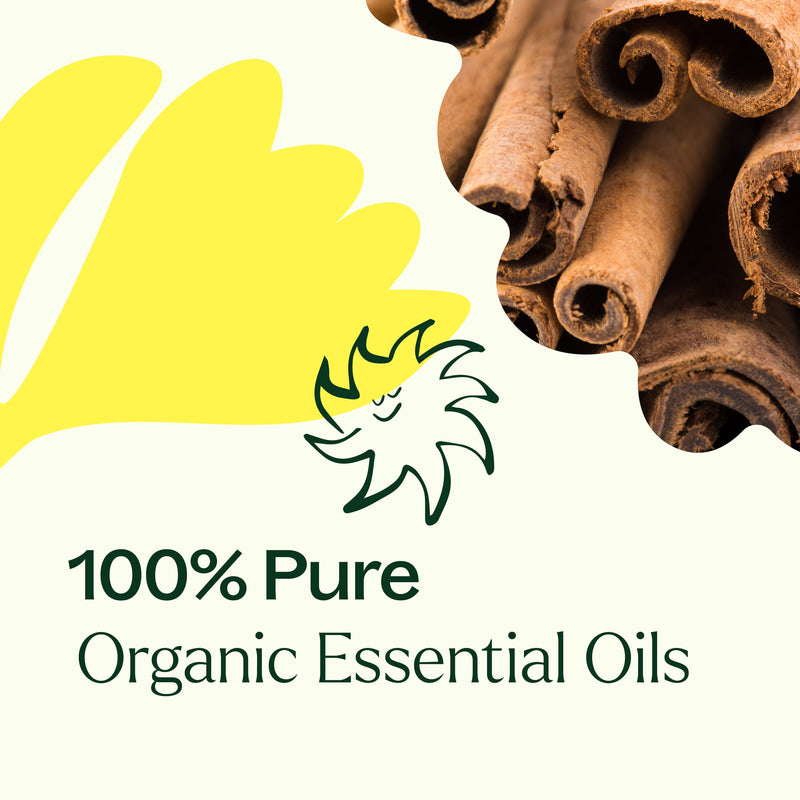 Plant Therapy Organic Germ Fighter Essential Oil Essential Oil