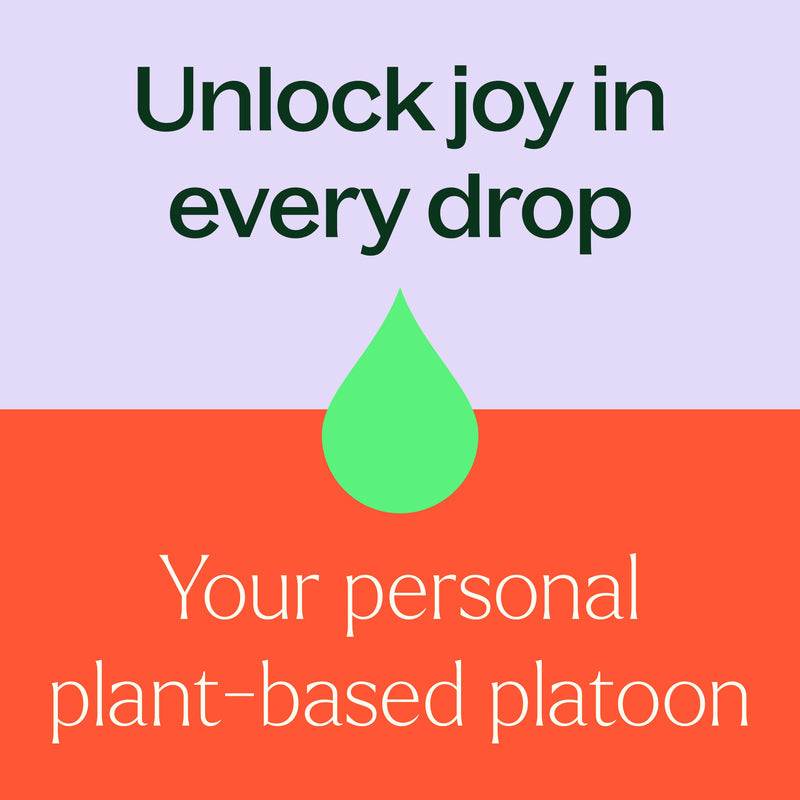 Plant Therapy Organic Germ Fighter®️ Essential Oil Blend Pre-Diluted Roll-On Essential Oil