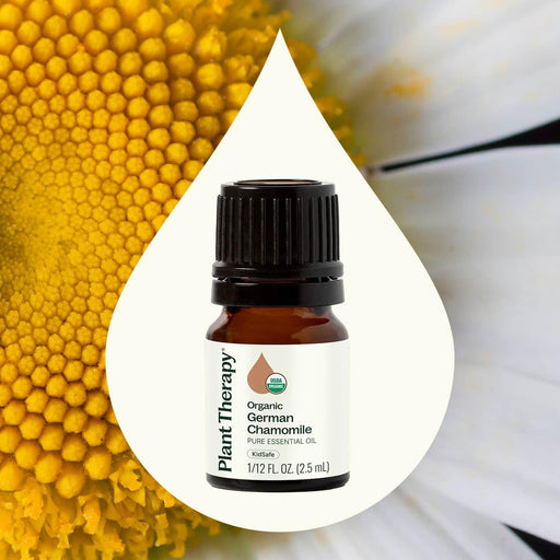 Plant Therapy Organic German Chamomile Essential Oil Essential Oil