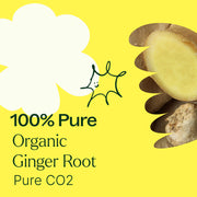 Plant Therapy Organic Ginger Root CO2
