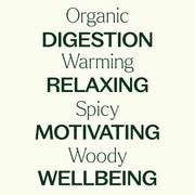 Plant Therapy Organic Ginger Root CO2