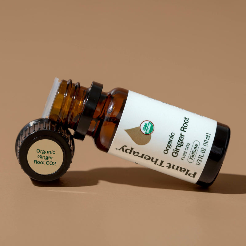Plant Therapy Organic Ginger Root CO2