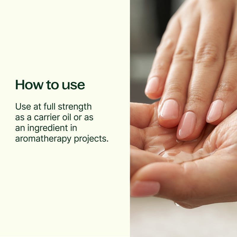 Plant Therapy Organic Golden Jojoba Carrier Oil Body Care