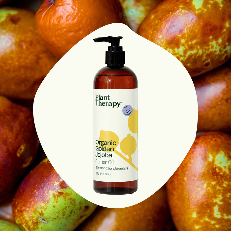 Plant Therapy Organic Golden Jojoba Carrier Oil Body Care