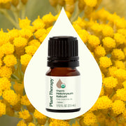 Plant Therapy Organic Helichrysum Italicum Essential Oil Essential Oil