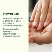 Plant Therapy Organic Hemp Seed Carrier Oil Body Care