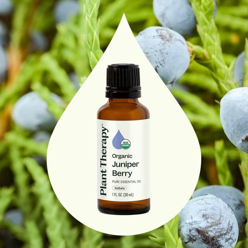 Plant Therapy Organic Juniper Berry Essential Oil Essential Oil