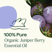 Plant Therapy Organic Juniper Berry Essential Oil Essential Oil