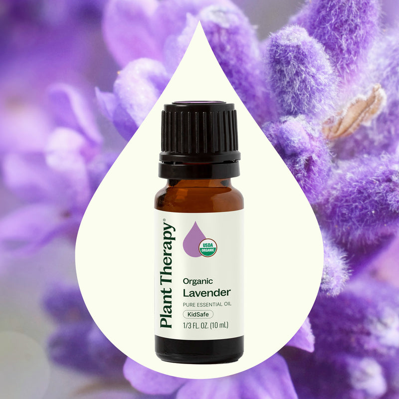 Plant Therapy Organic Lavender Essential Oil Essential Oil