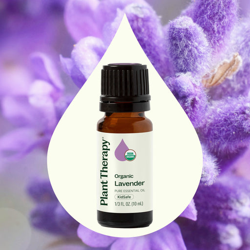 Plant Therapy Organic Lavender Essential Oil Essential Oil