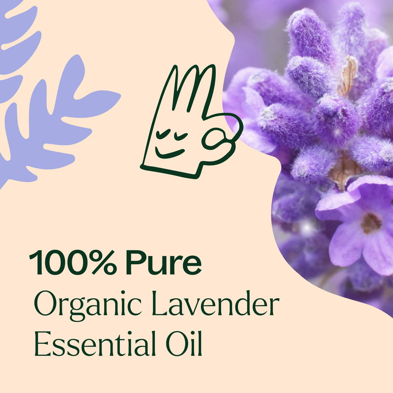 Plant Therapy Organic Lavender Essential Oil Essential Oil