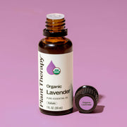 Plant Therapy Organic Lavender Essential Oil Essential Oil