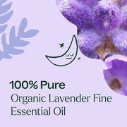 Plant Therapy Organic Lavender Fine Essential Oil Essential Oil