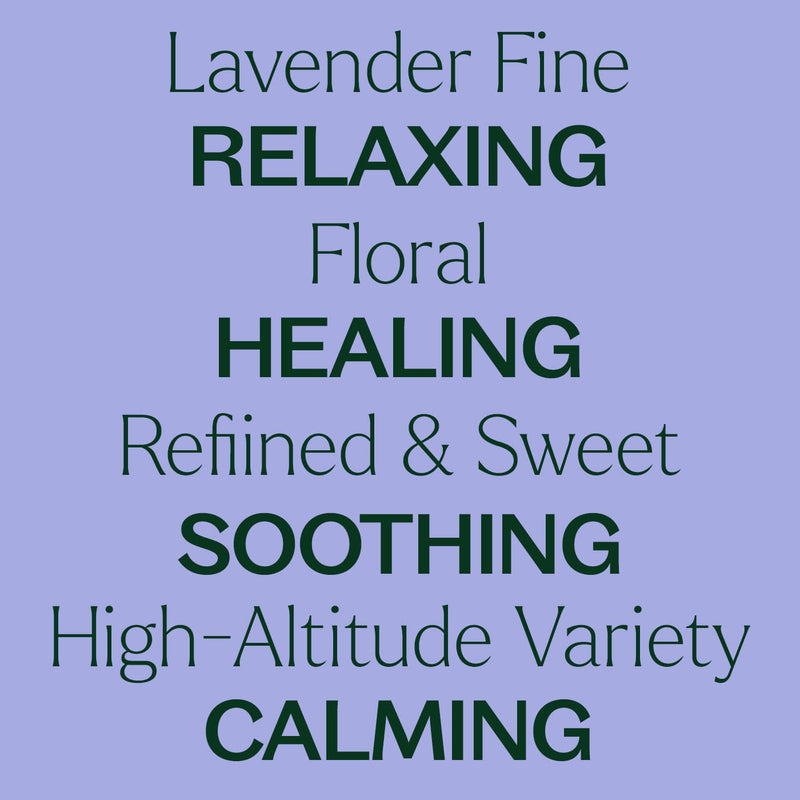 Plant Therapy Organic Lavender Fine Essential Oil Essential Oil