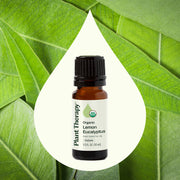 Plant Therapy Organic Lemon Eucalyptus Essential Oil Essential Oil