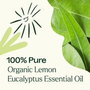 Plant Therapy Organic Lemon Eucalyptus Essential Oil Essential Oil